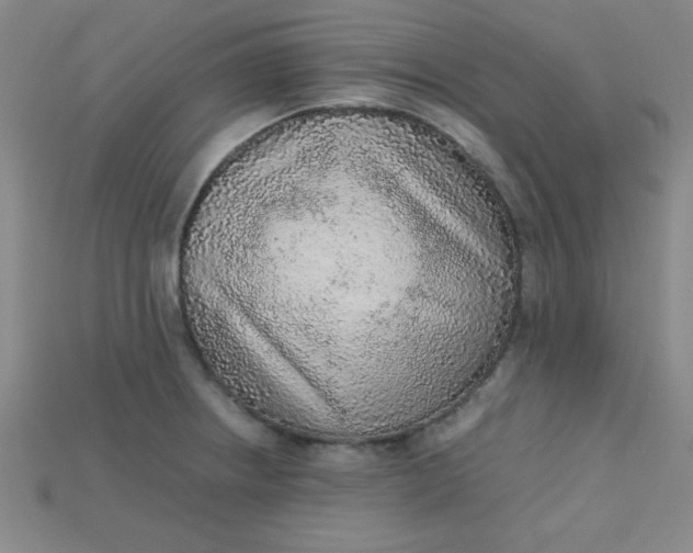 X0000115211234200911121857