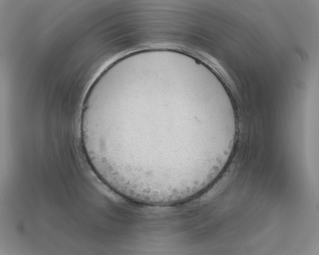 X0000115211236200911121857
