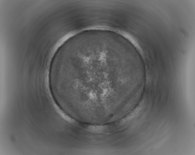 X0000115211237200911121857