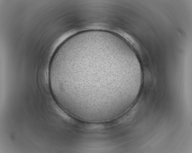 X0000115211238200911121857