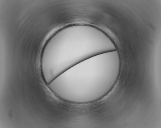 X0000115211240200911121857