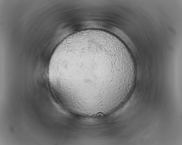 X0000115211241200911121857