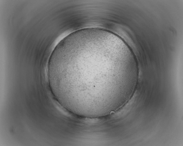 X0000115211242200911121857