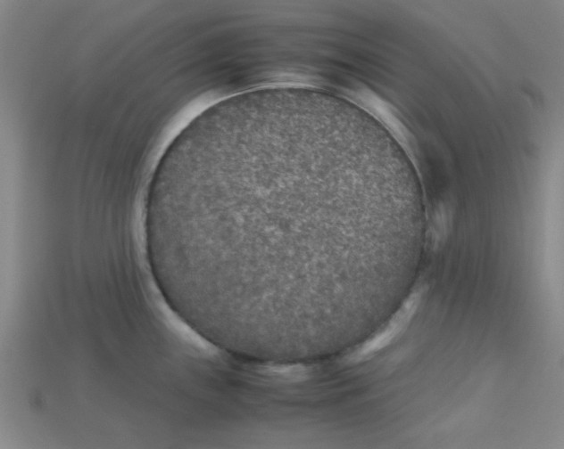 X0000115211243200911121857