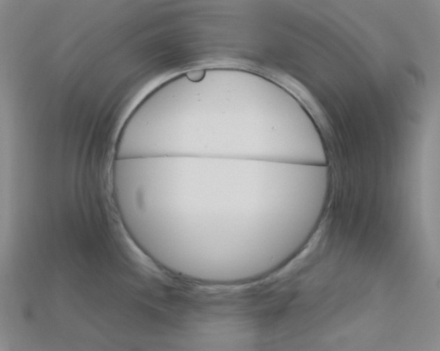 X0000115211244200911121857
