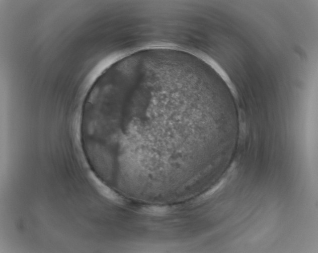 X0000115211245200911121857