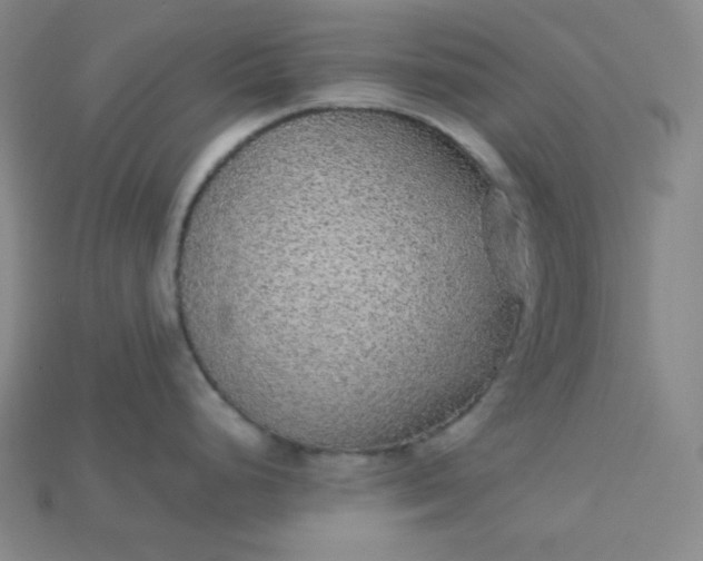 X0000115211248200911121857