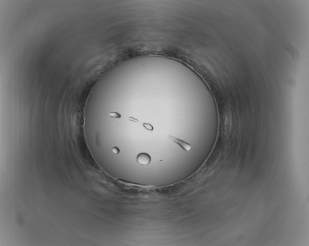 X0000115211250200911121857