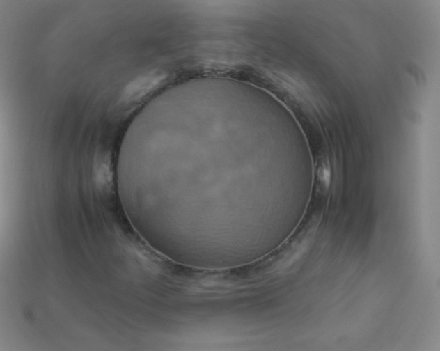 X0000115211252200911121857