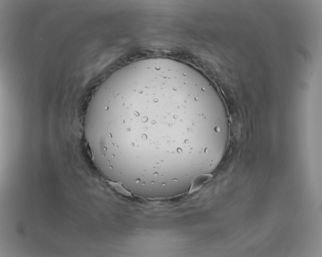 X0000115211253200911121857