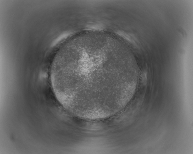X0000115211254200911121857