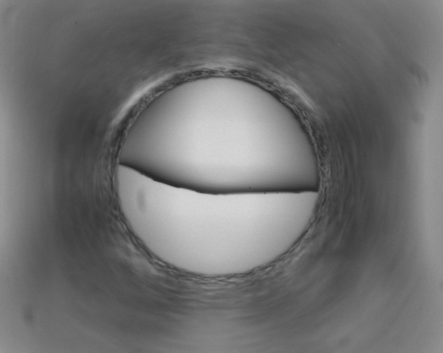 X0000115211256200911121857