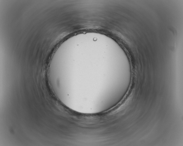 X0000115211257200911121857