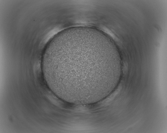 X0000115211259200911121857