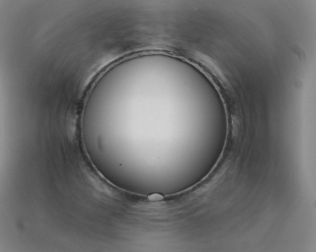 X0000115211260200911121857