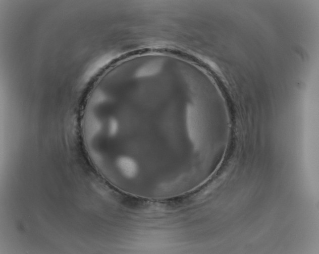 X0000115211263200911121857