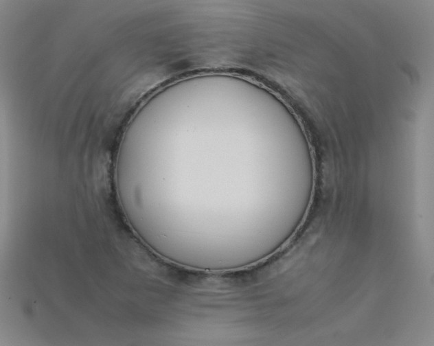 X0000115211265200911121857
