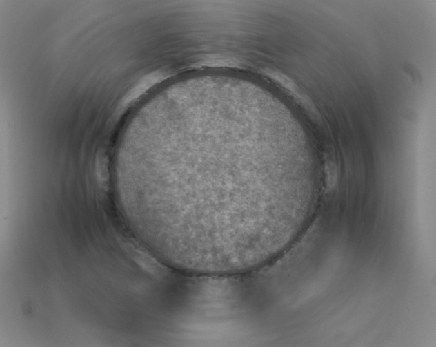 X0000115211266200911121857