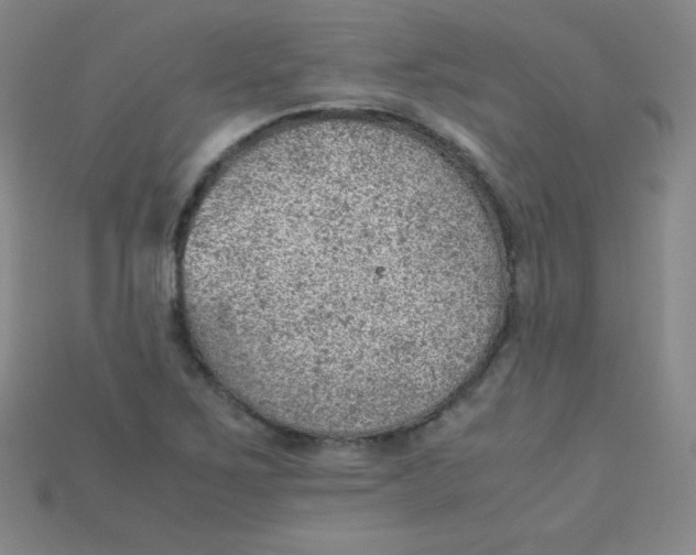X0000115211267200911121857