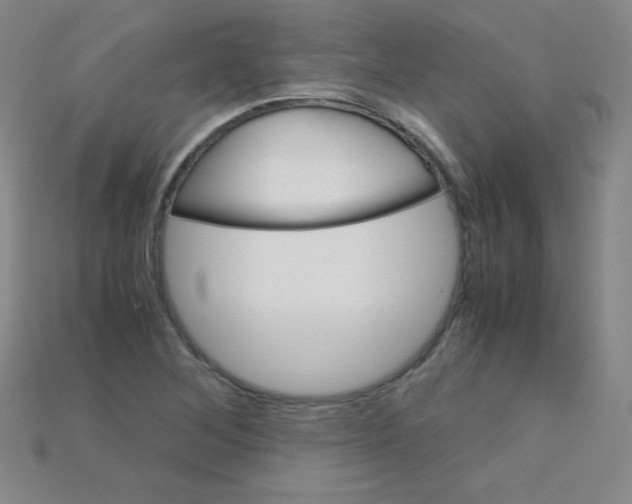 X0000115211268200911121857