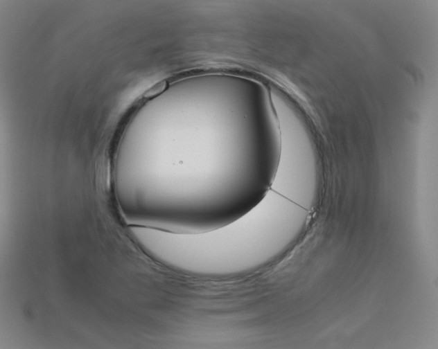 X0000115211269200911121857