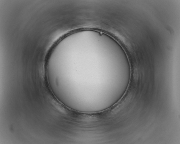X0000115211270200911121857
