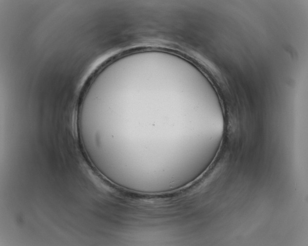 X0000115211272200911121856