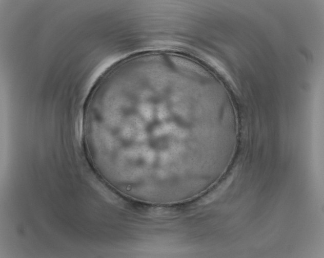 X0000115211275200911121856