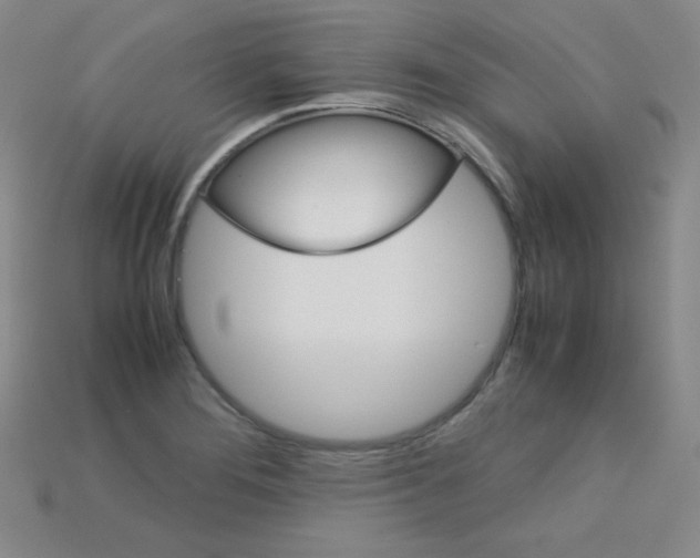 X0000115211276200911121856