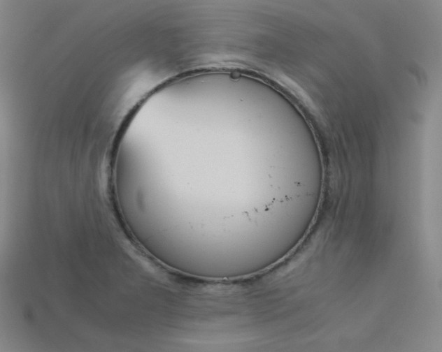 X0000115211277200911121856