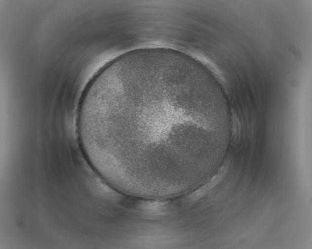 X0000115211278200911121856