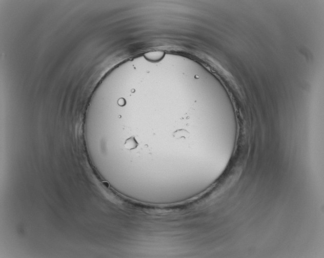 X0000115211281200911121856