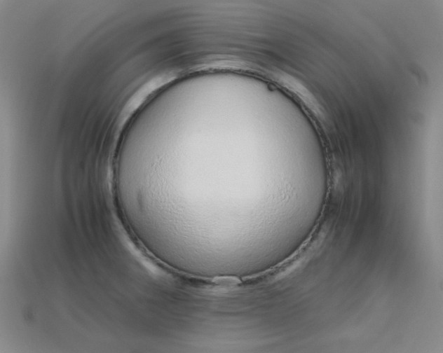 X0000115211282200911121856