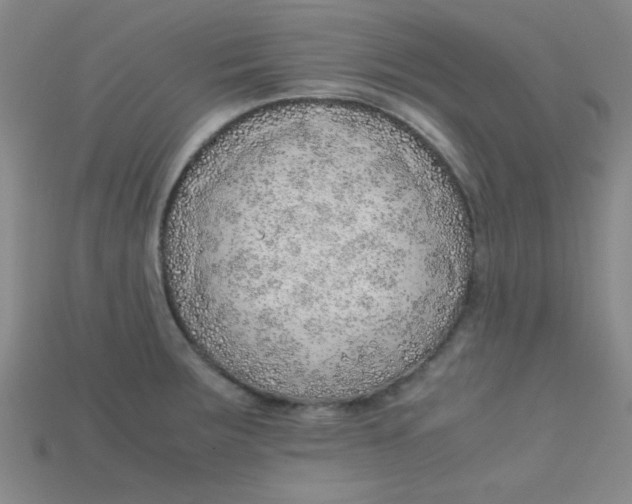 X0000115211283200911121856