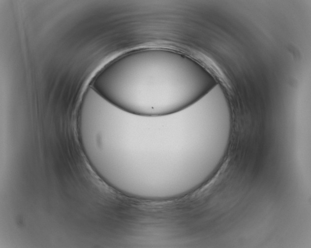 X0000115211284200911121856
