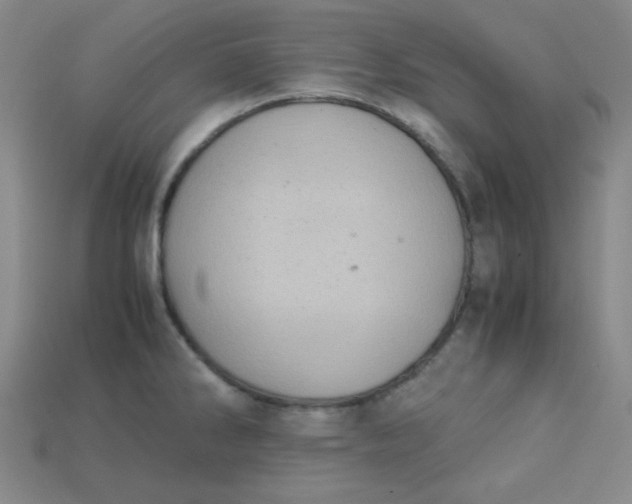 X0000115211286200911121856