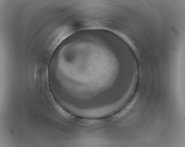 X0000115211289200911121856