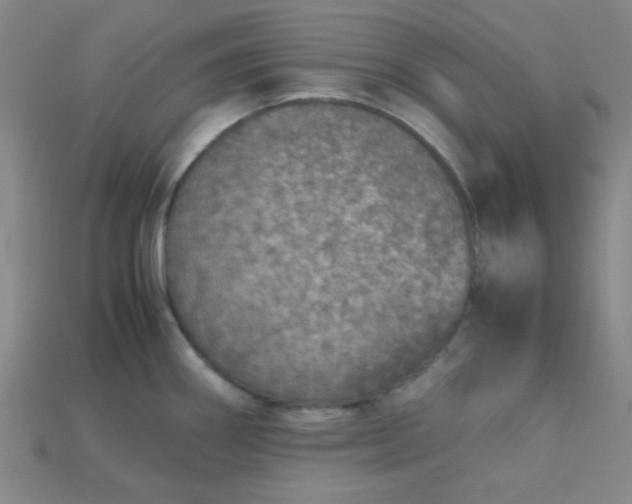 X0000115211290200911121856