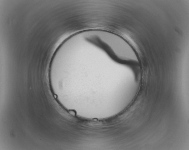 X0000115211291200911121856