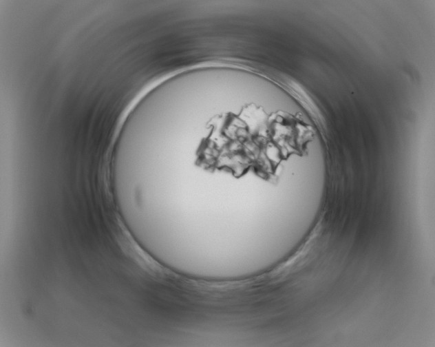X0000115211292200911121856