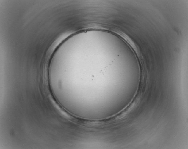 X0000115211293200911121856