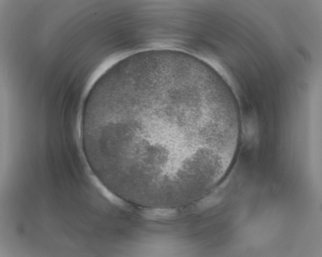 X0000115211294200911121856