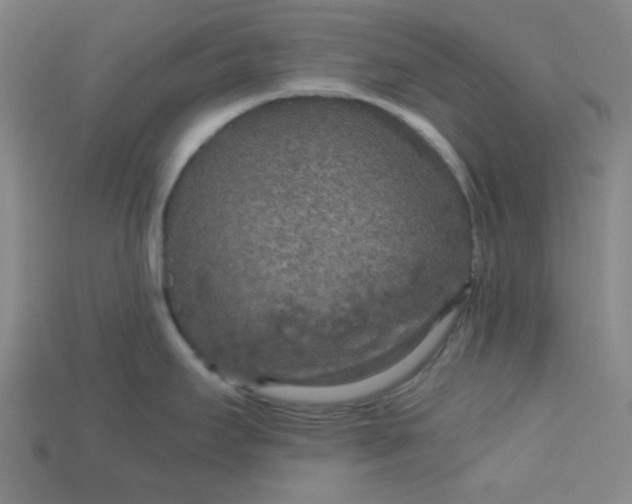 X0000115211295200911121856