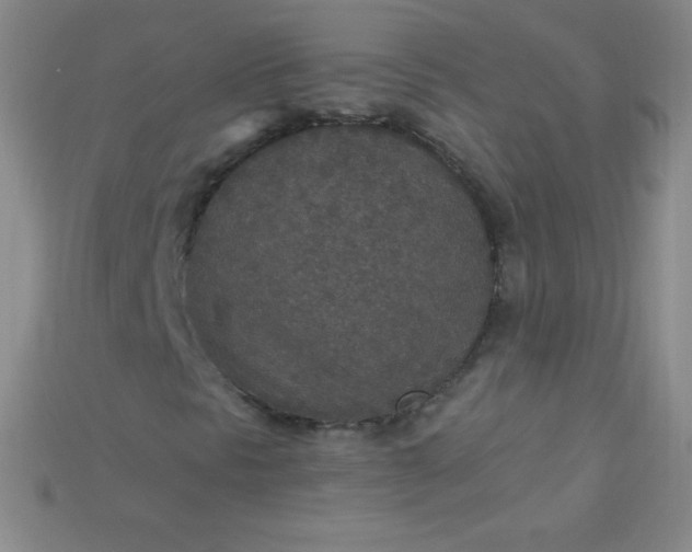 X0000115211297200911121856