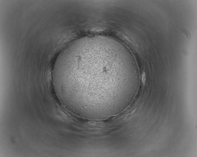 X0000115211299200911121856