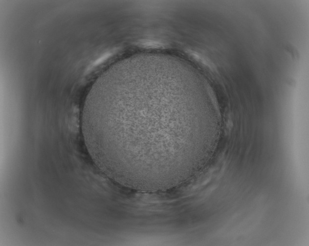 X0000115211301200911121856