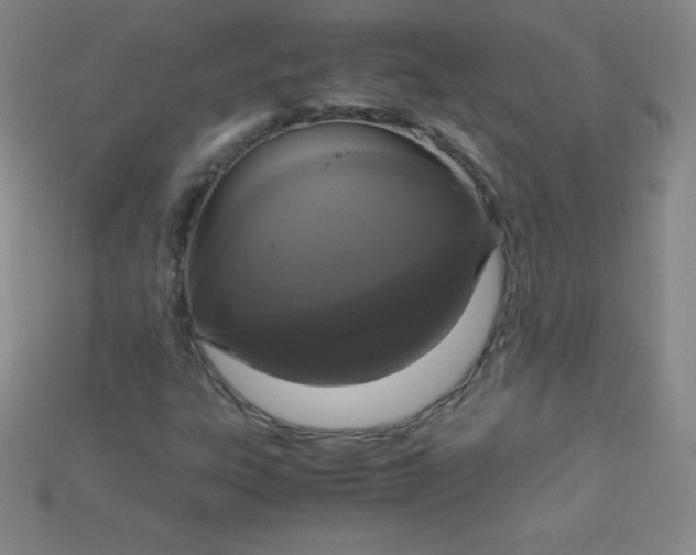 X0000115211303200911121856