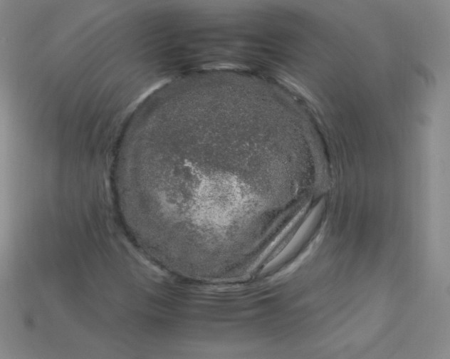 X0000115211305200911121856