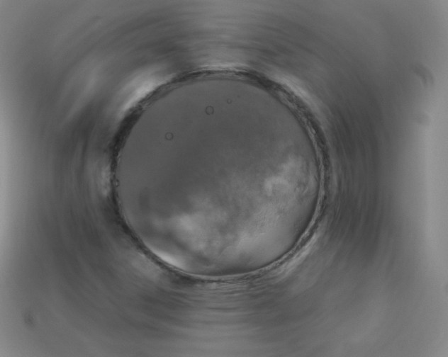 X0000115211306200911121856