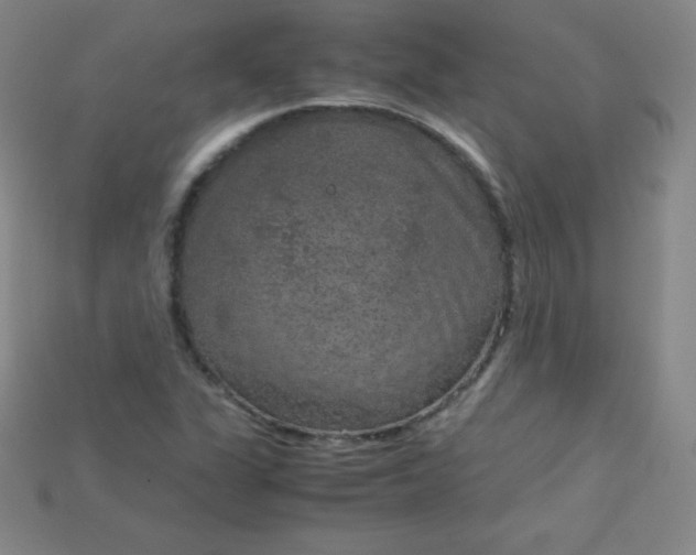 X0000115211311200911121856
